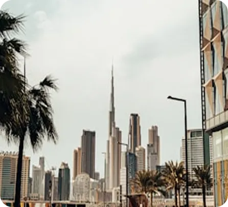 UAE Company Formation